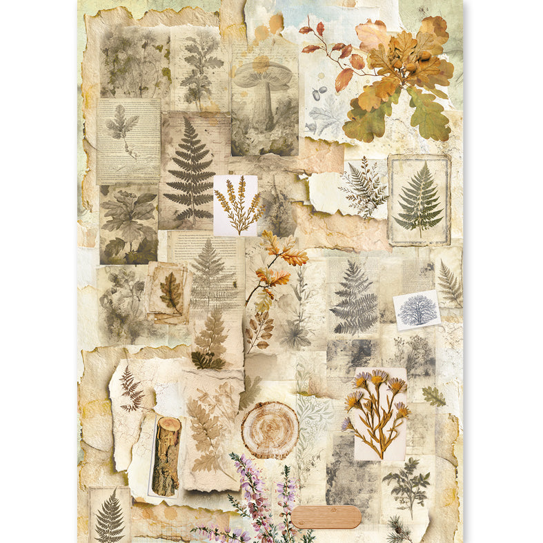Rice Paper A5 MIXED 8/Pkg The Nature Journal