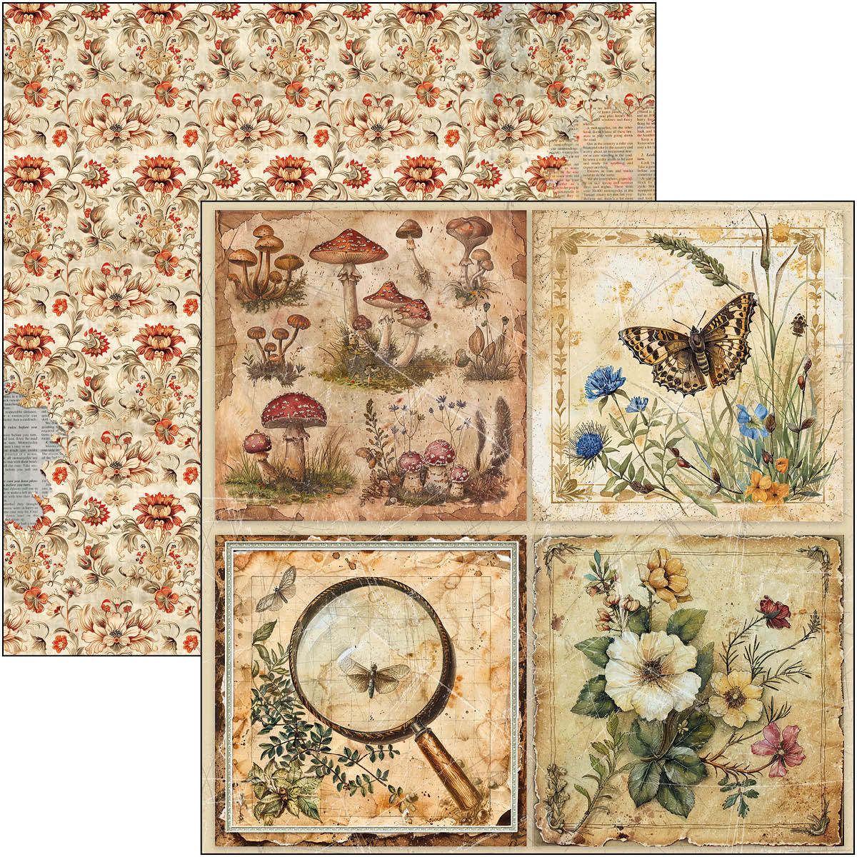Cabinet Of Curiosities Patterns Pad 12"x12" 8/Pkg