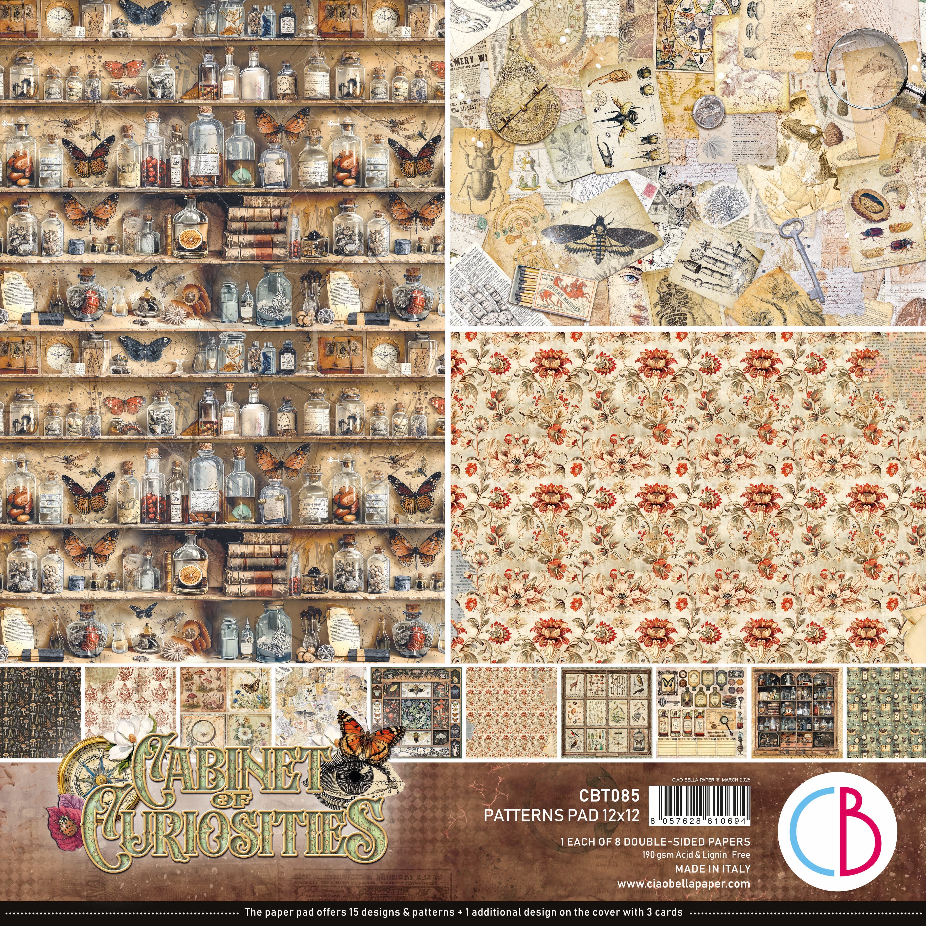 Cabinet Of Curiosities Patterns Pad 12"x12" 8/Pkg