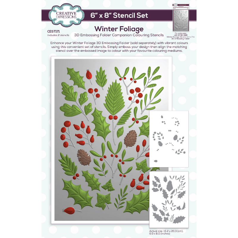 Creative Expressions Winter Foliage Companion Colouring Stencil 6 in x 8 in Set of 2