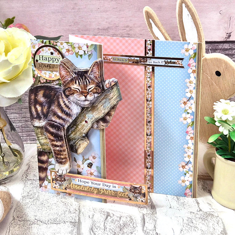 Spring Cheer Deco-Large Set - The Purr-fect Day