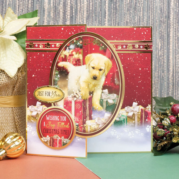 Santa Paws Luxury Topper Set