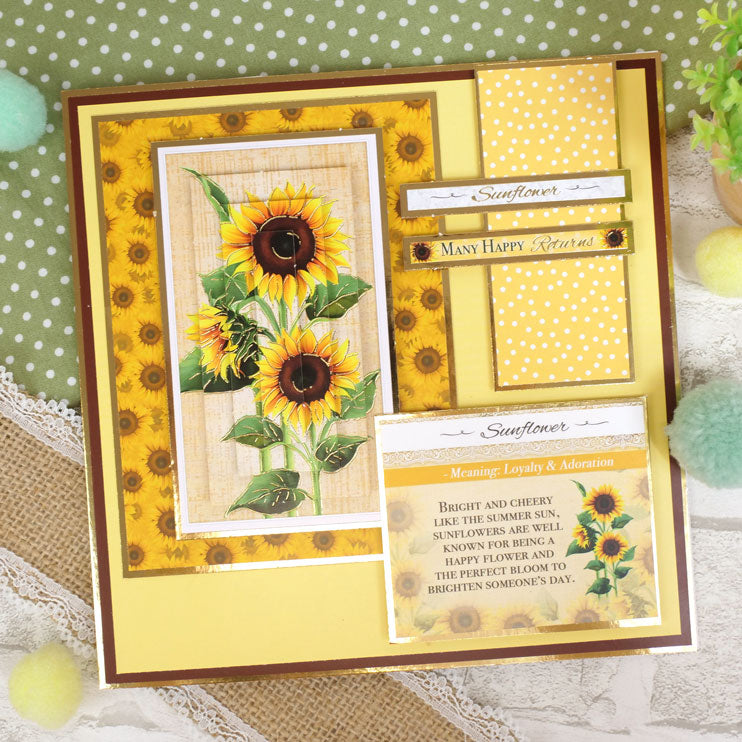 Floral Easel Reveal Concept Card Kit