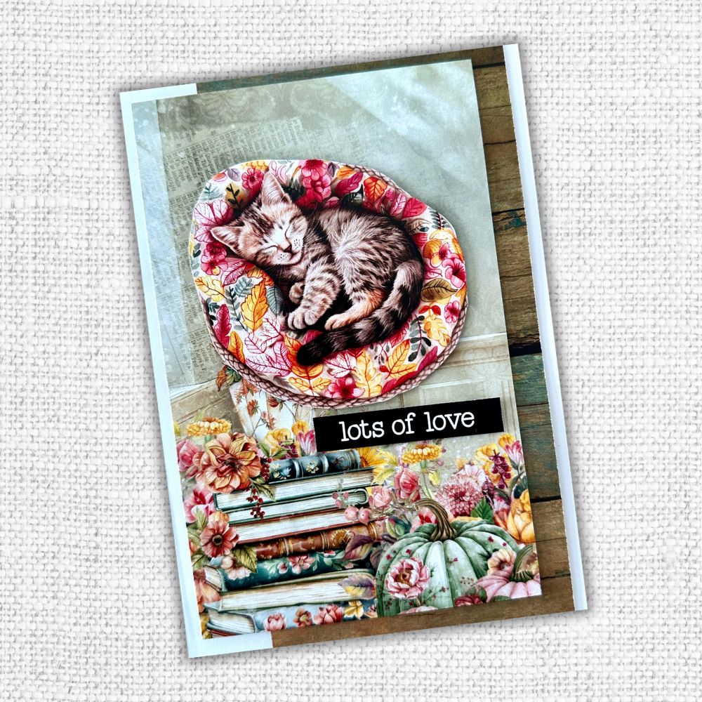 Cozy Fall Cut Aparts Paper Pack 32676