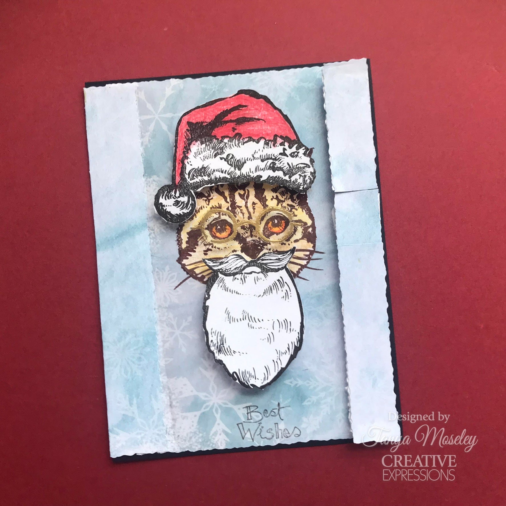 Creative Expressions Jane Davenport Kitty Christmas 6 in x 8 in Clear Stamp Set