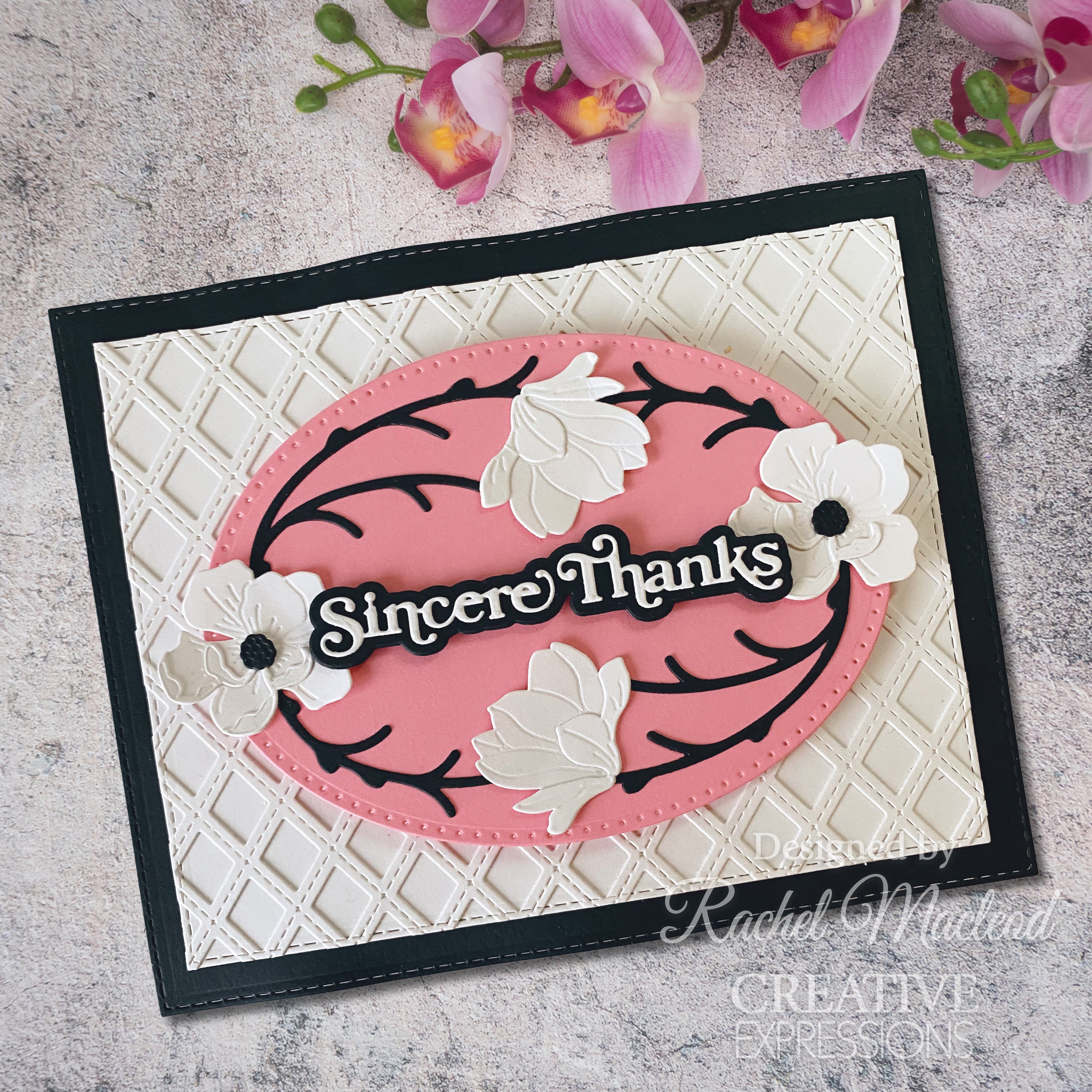 Creative Expressions Sue Wilson Mini Shadowed Sentiments Sincere Thanks Craft Die