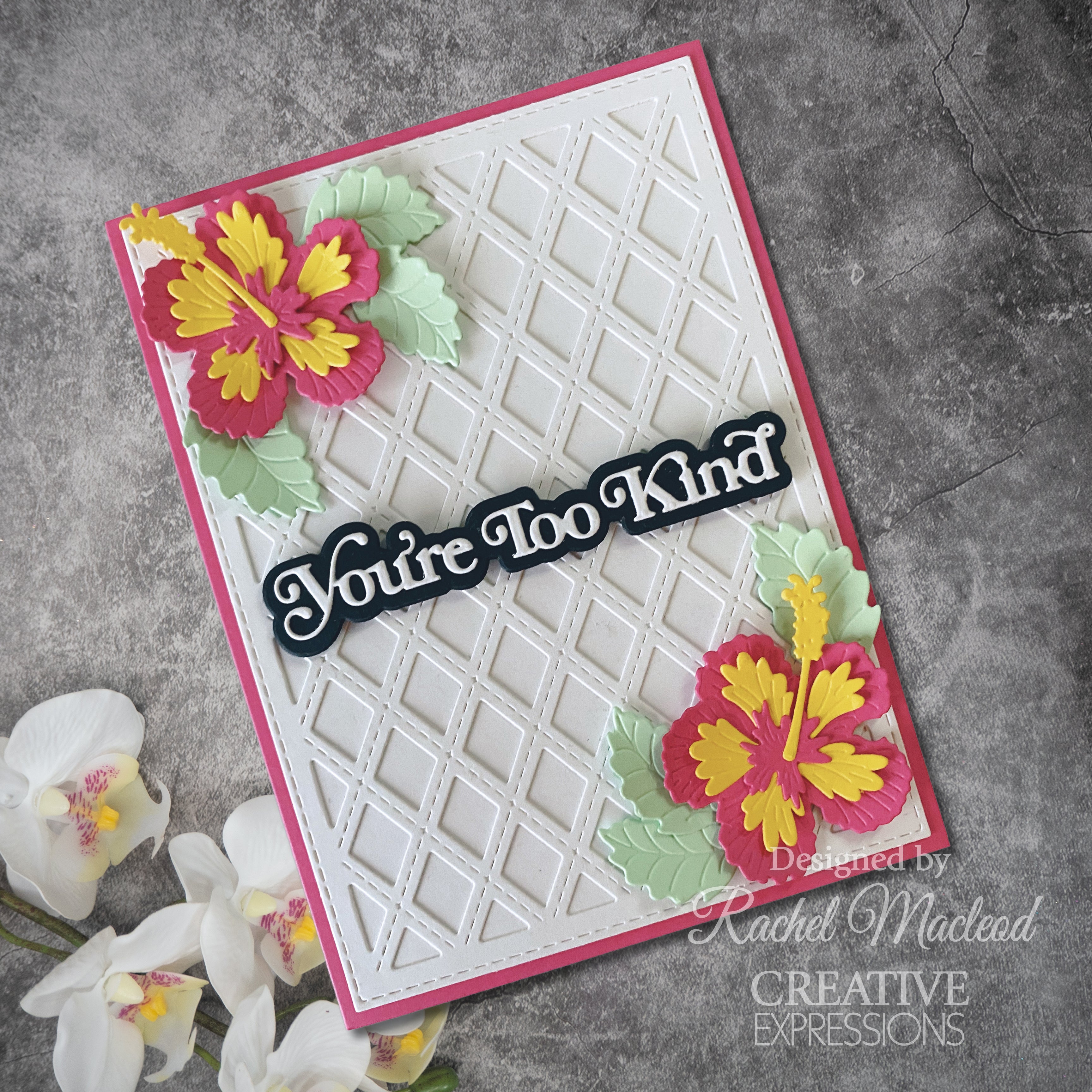 Creative Expressions Sue Wilson Mini Shadowed Sentiments You're Too Kind Craft Die