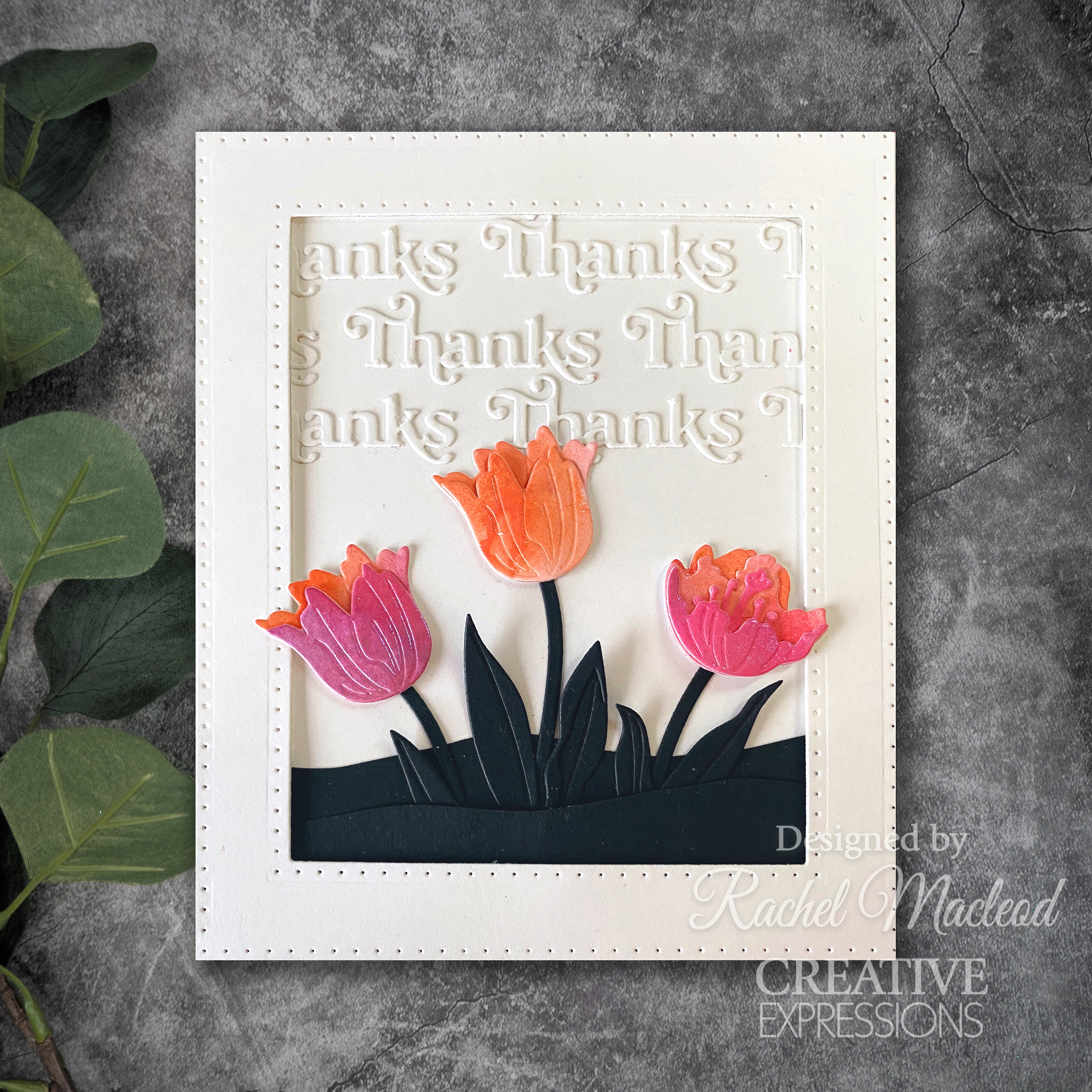 Creative Expressions Sue Wilson Mini Shadowed Sentiments Sincere Thanks Craft Die