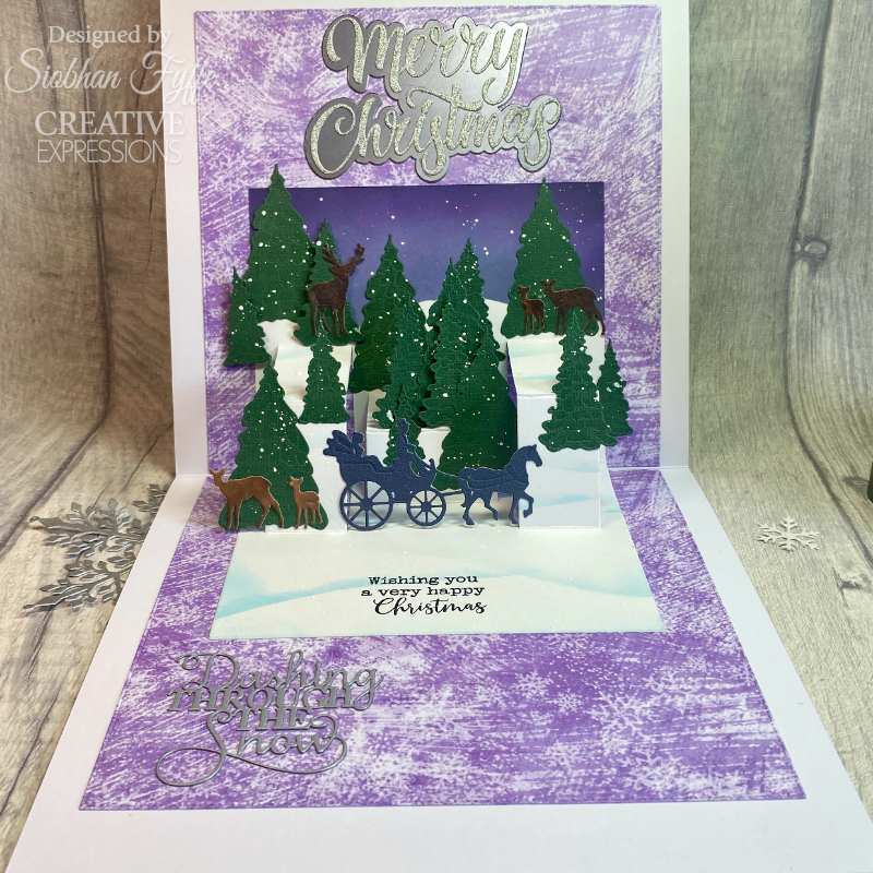 Creative Expressions Sue Wilson Festive Winter Wonderland Plate Craft Die