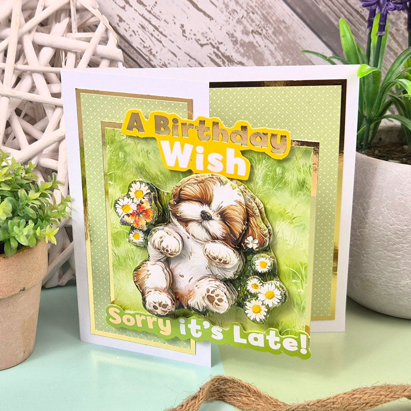 The Big Book of Shaped Birthday Sentiments