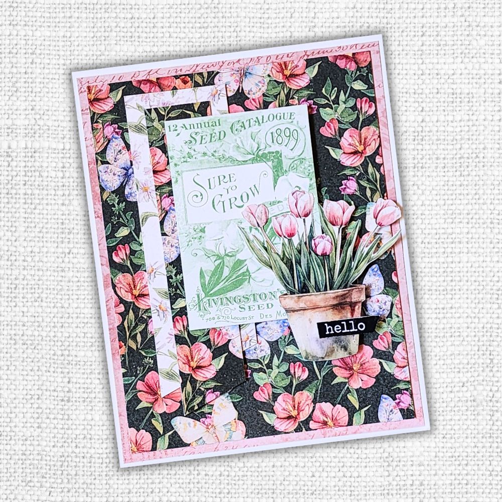 Flower Shoppe Embossed Die Cuts 33138