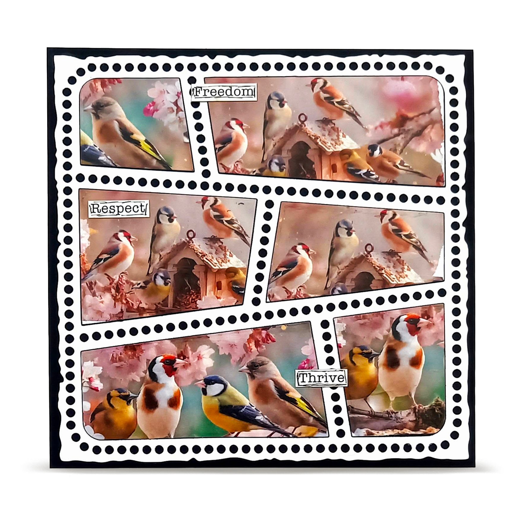AALL and Create - Layer-It-Up Washi Tape 25mm x 10m - Bird Feast