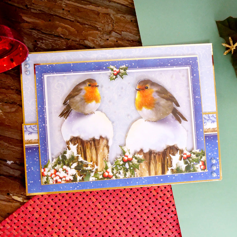 The Little Book of Winter Robins