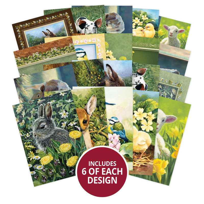 The Little Book of In the Countryside