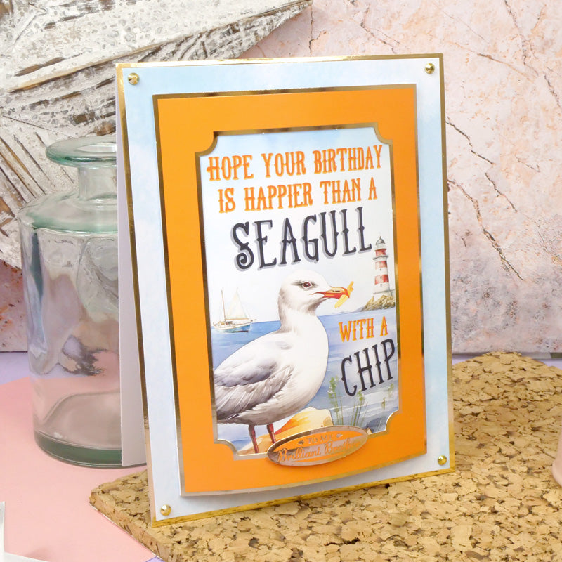 The Little Book of Birthday Humour