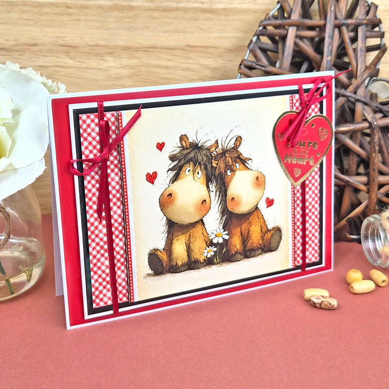 The Little Book of Horses