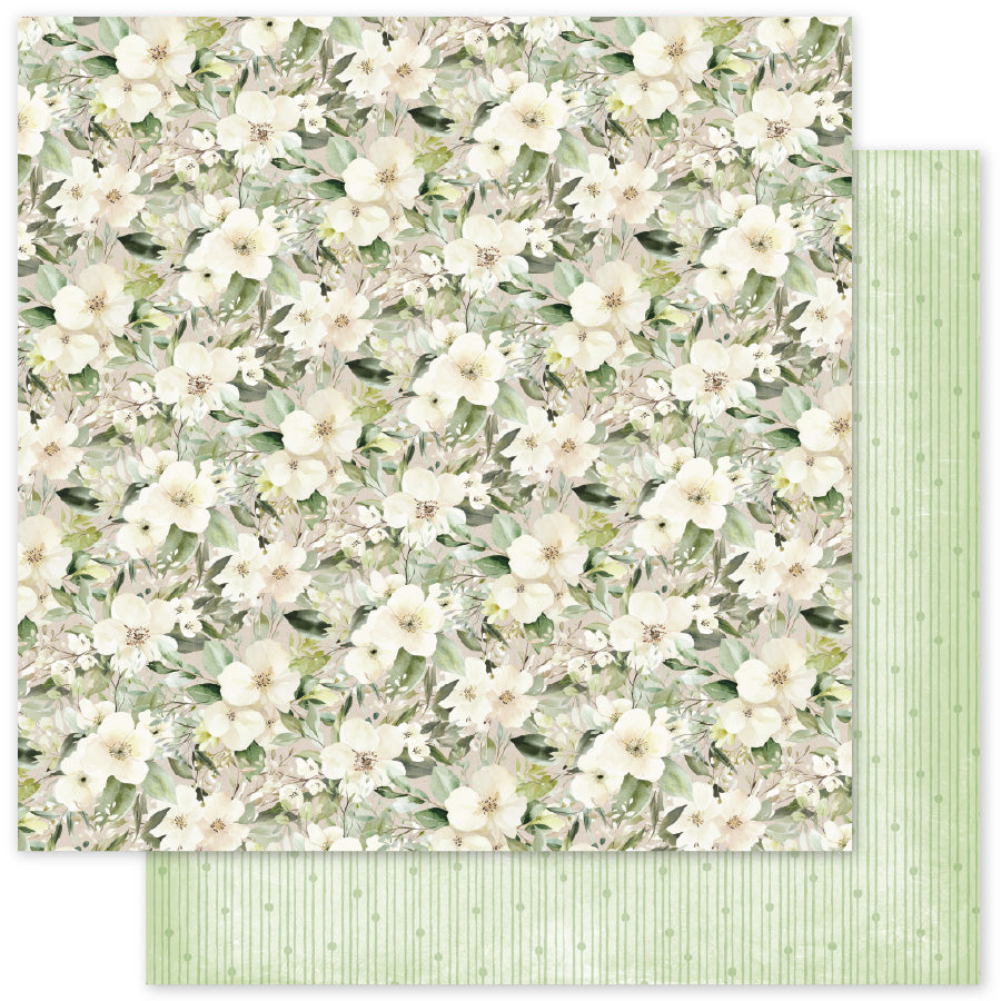 Little Koala Adventures Basics 12x12 Paper Collection 36670