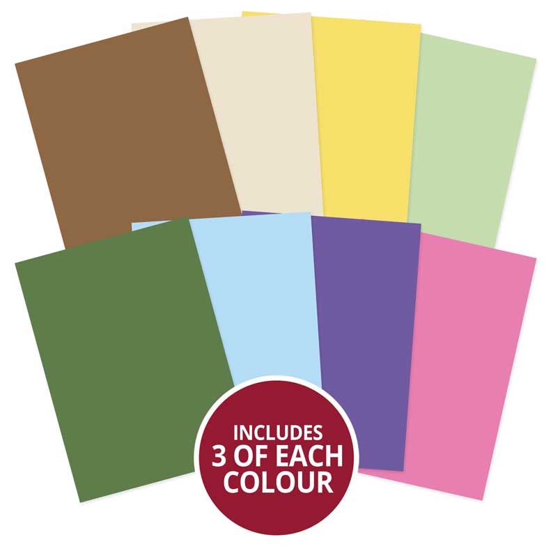 Garden Treasures Matt-tastic Adorable Scorable Selection