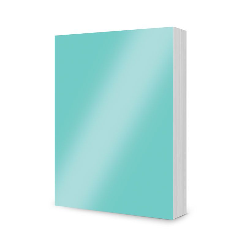 #colour_Frosted Green