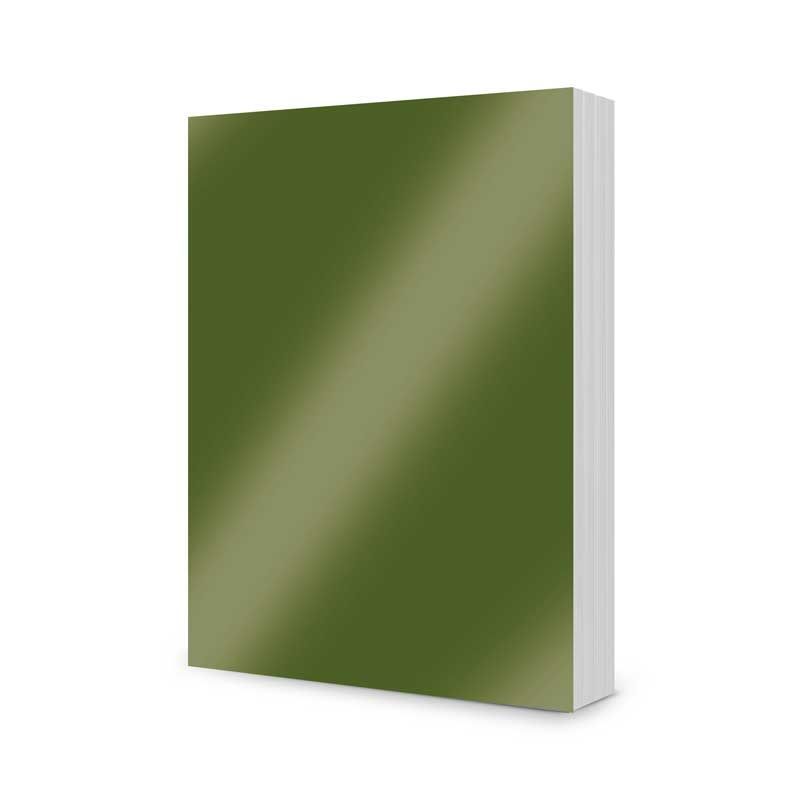#colour_Holly Green