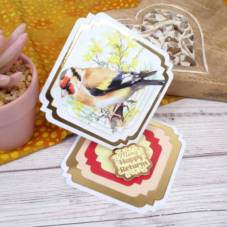 Birds in Focus Pocket Pad