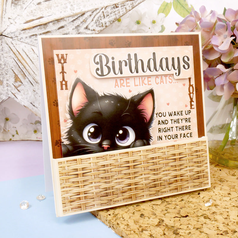 The Little Book of Birthday Humour