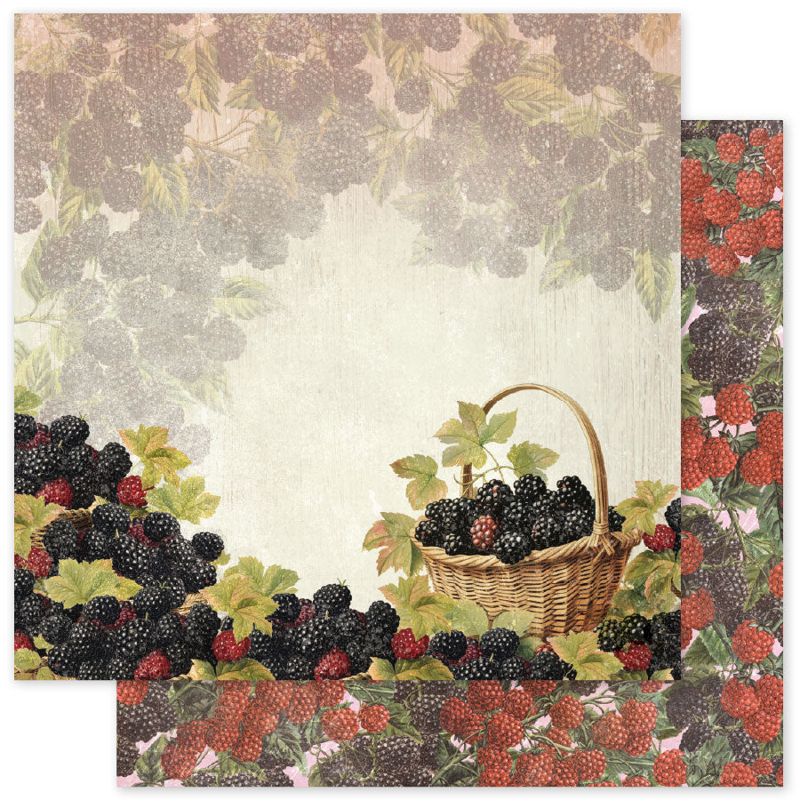 Meadowbrook Farm Basics 12x12 Paper Collection 35043