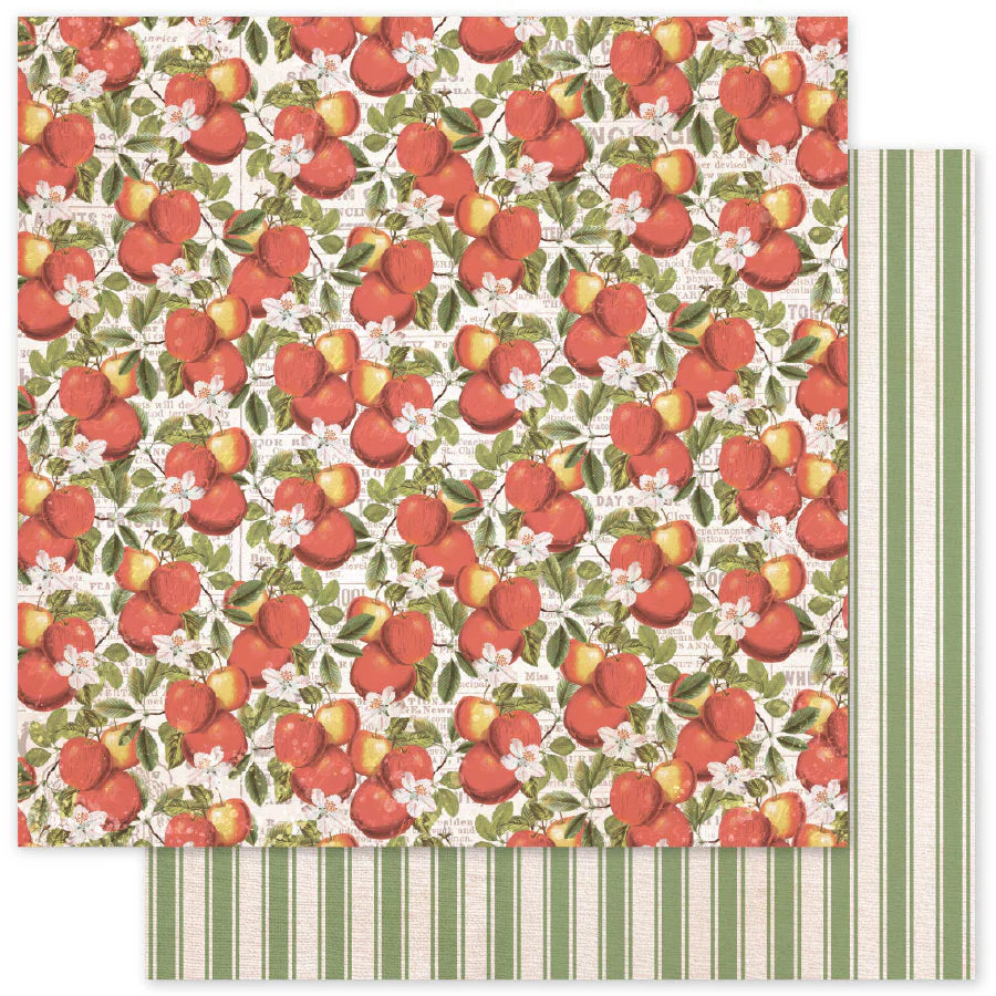 Meadowbrook Farm D 12 x 12 Paper (12 pc Bulk Pack) 35031