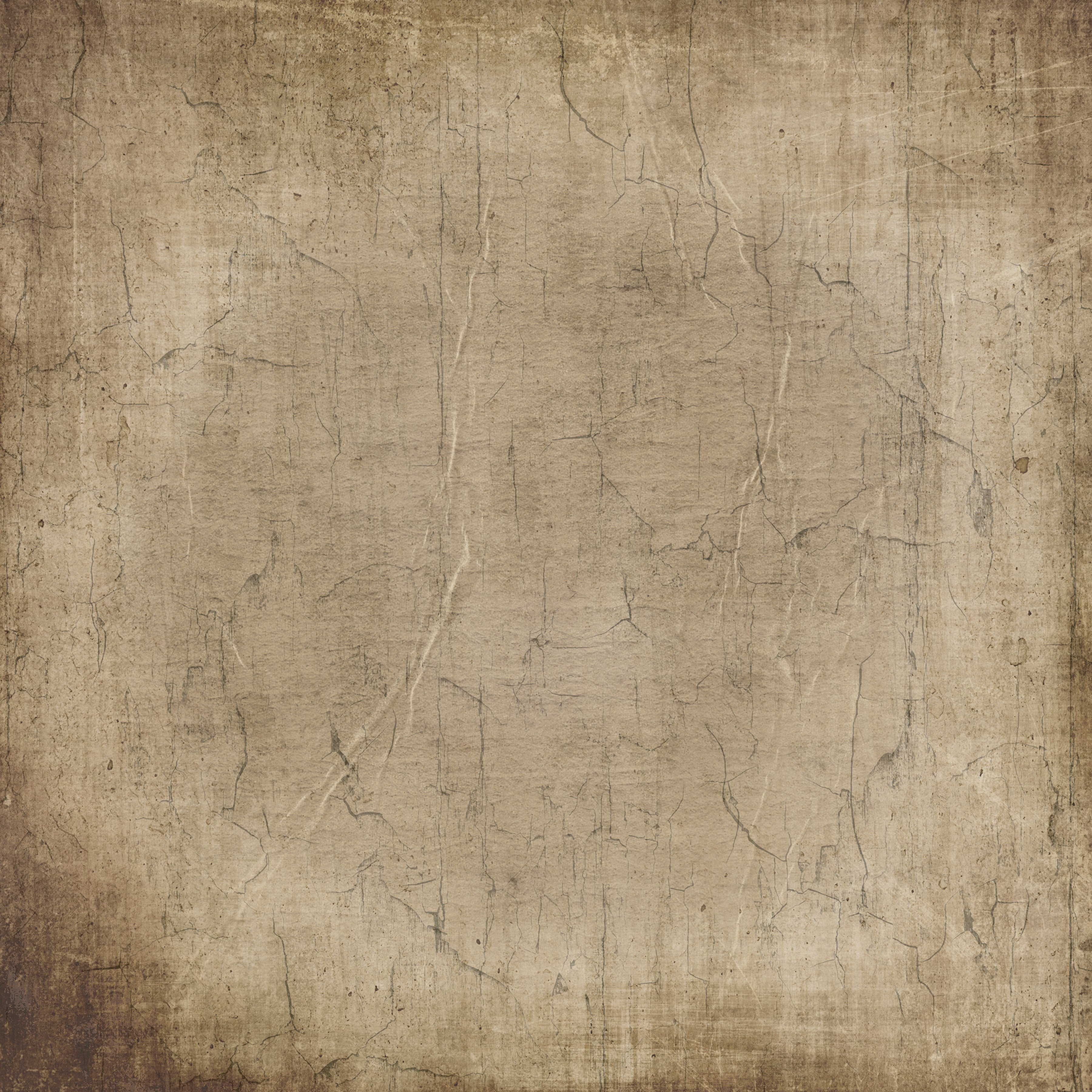 Sara Signature Antique Lace - 12" x 12" Paper Pad