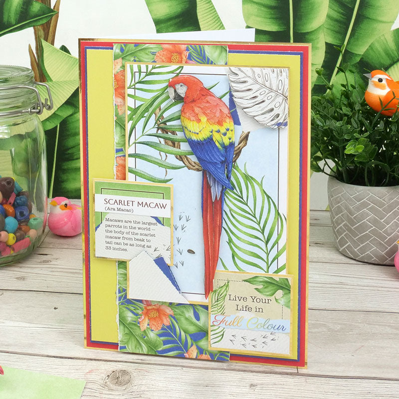 Botanical Birds Picture Perfect Pad