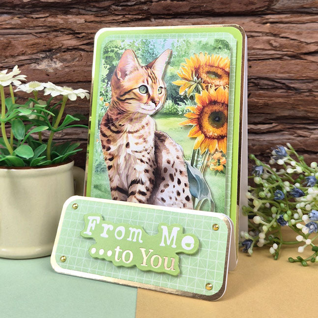 Feline Fabulous Pocket Pad