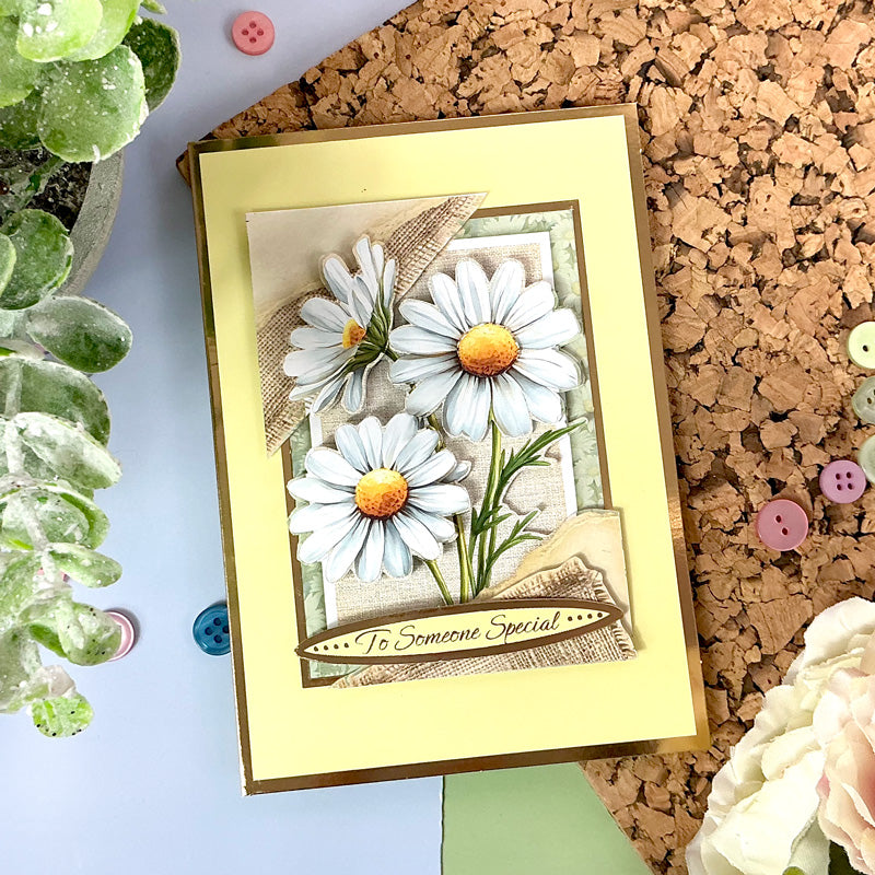 Daisy Days Pocket Pad