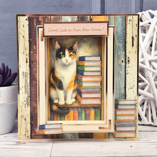 Feline Fabulous Pocket Pad