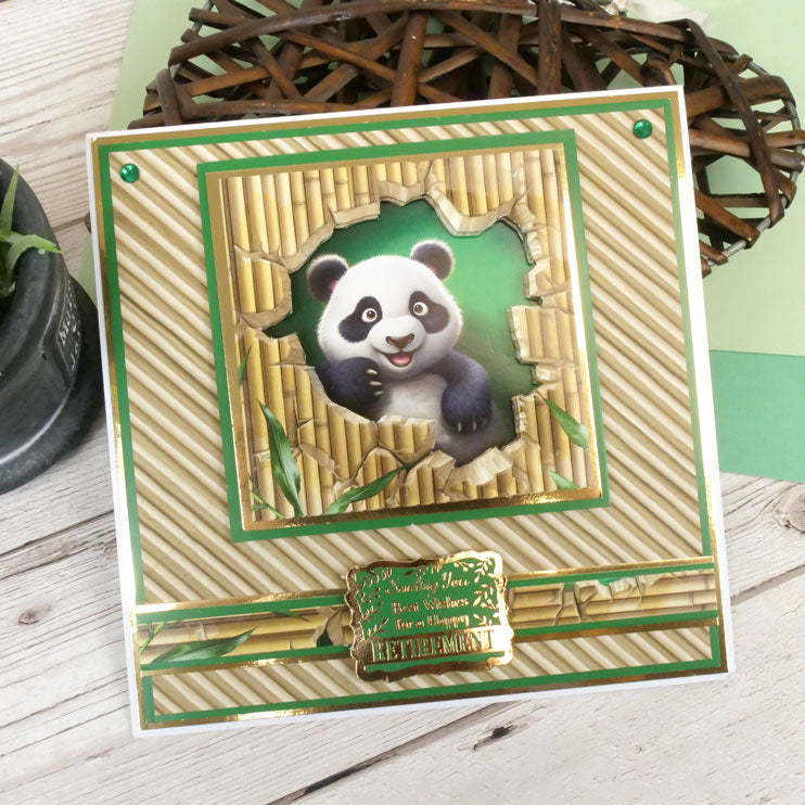 Peeping Pals Pocket Pad