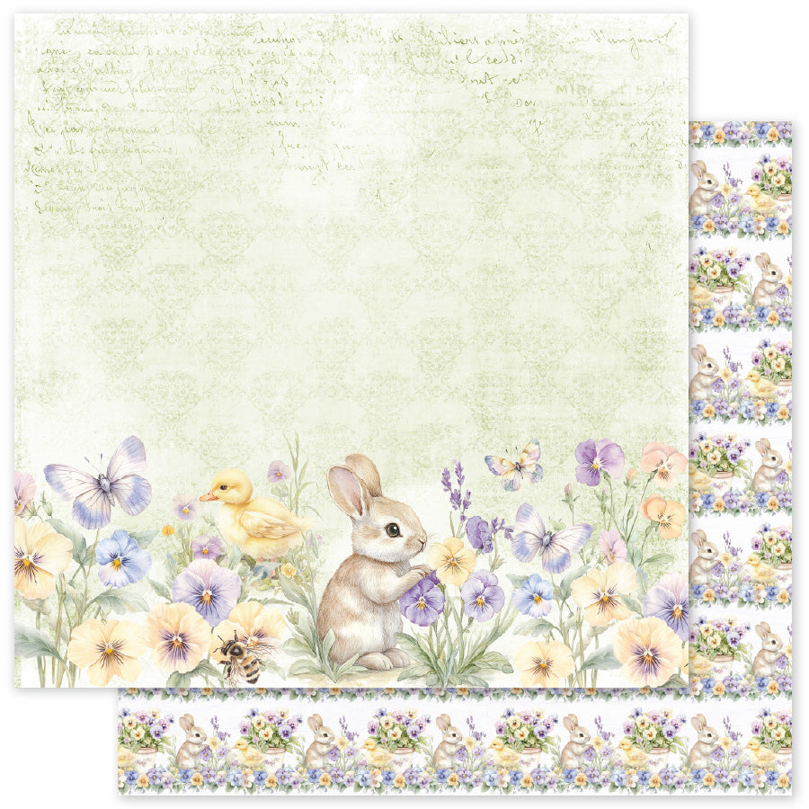 Petals & Pansies 6x6 Paper Collection 36367