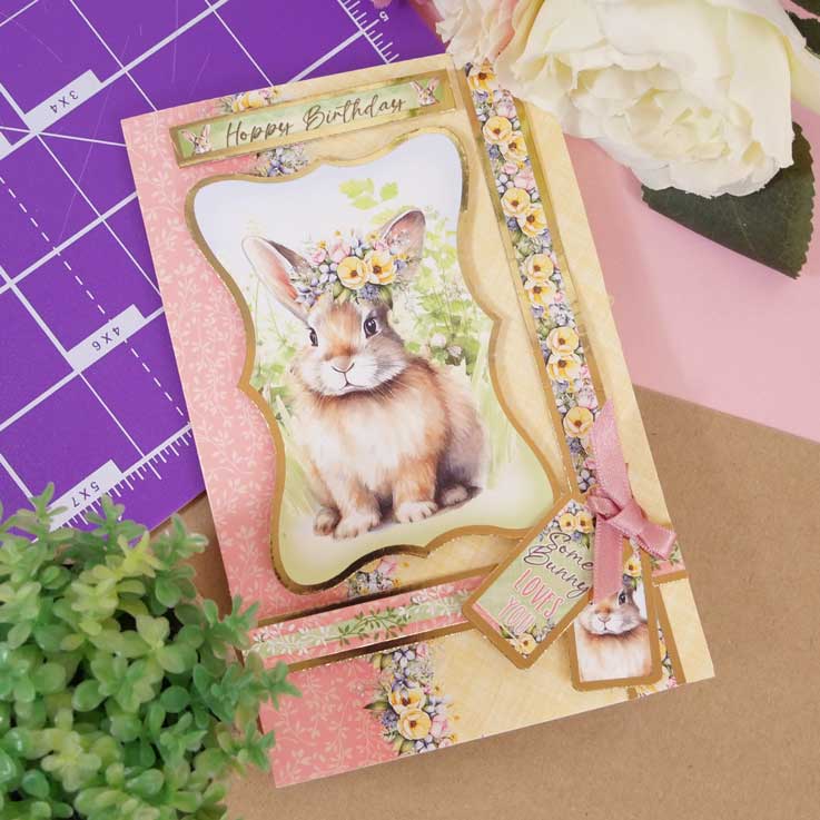 Quick Cards - Perfect Pets