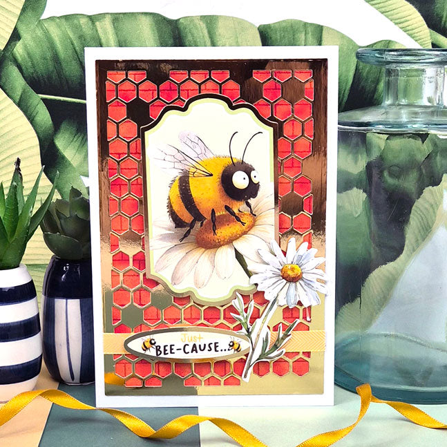 Quirky Animals Card Topper Kit