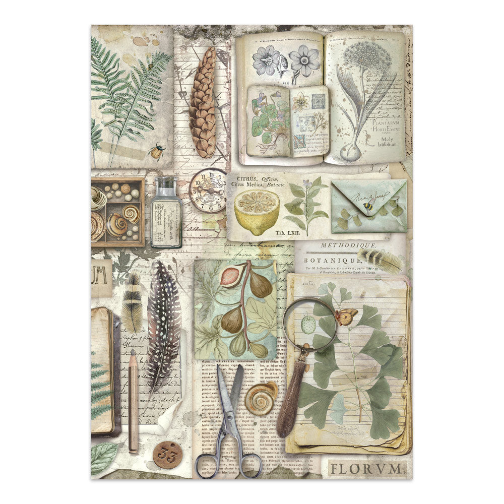 Printed Art Junk Journal: Stickers, Cut-Outs, Backgrounds For Art And Craft - Herbarium Silvae