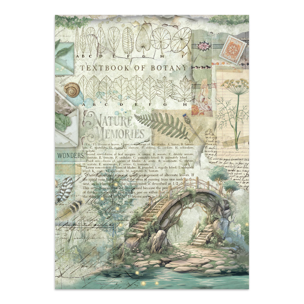 Printed Art Junk Journal: Stickers, Cut-Outs, Backgrounds For Art And Craft - Herbarium Silvae