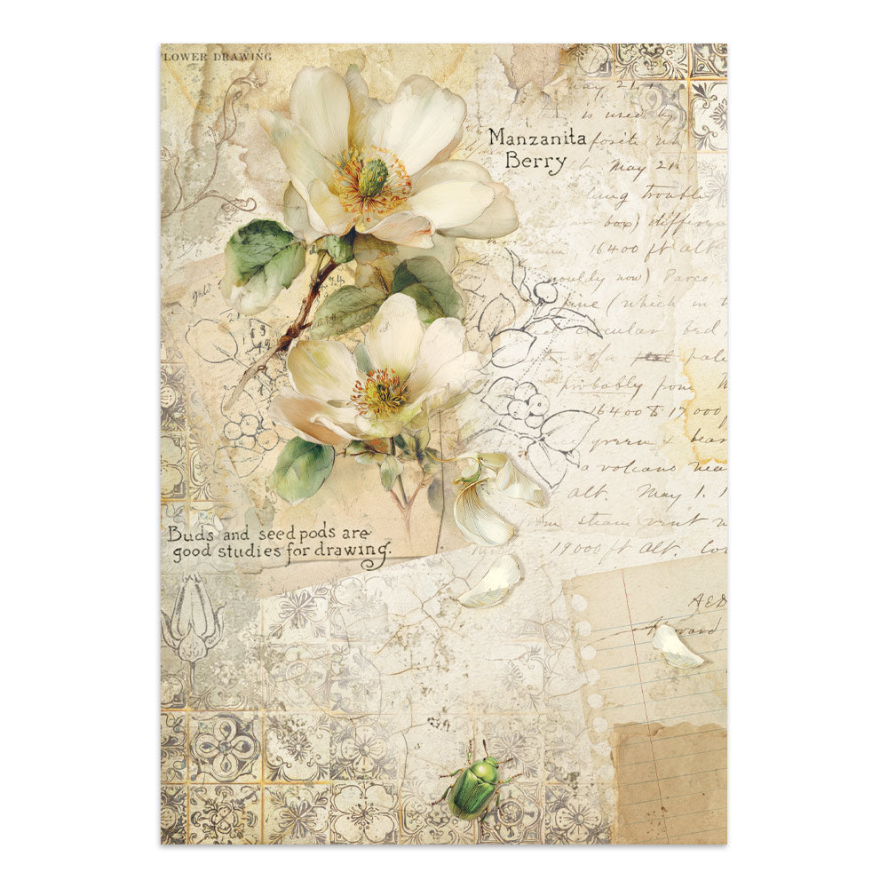 Printed Art Junk Journal: Stickers, Cut-Outs, Backgrounds For Art And Craft - All Around