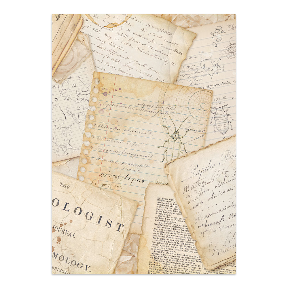 Printed Art Junk Journal: Stickers, Cut-Outs, Backgrounds For Art And Craft - All Around