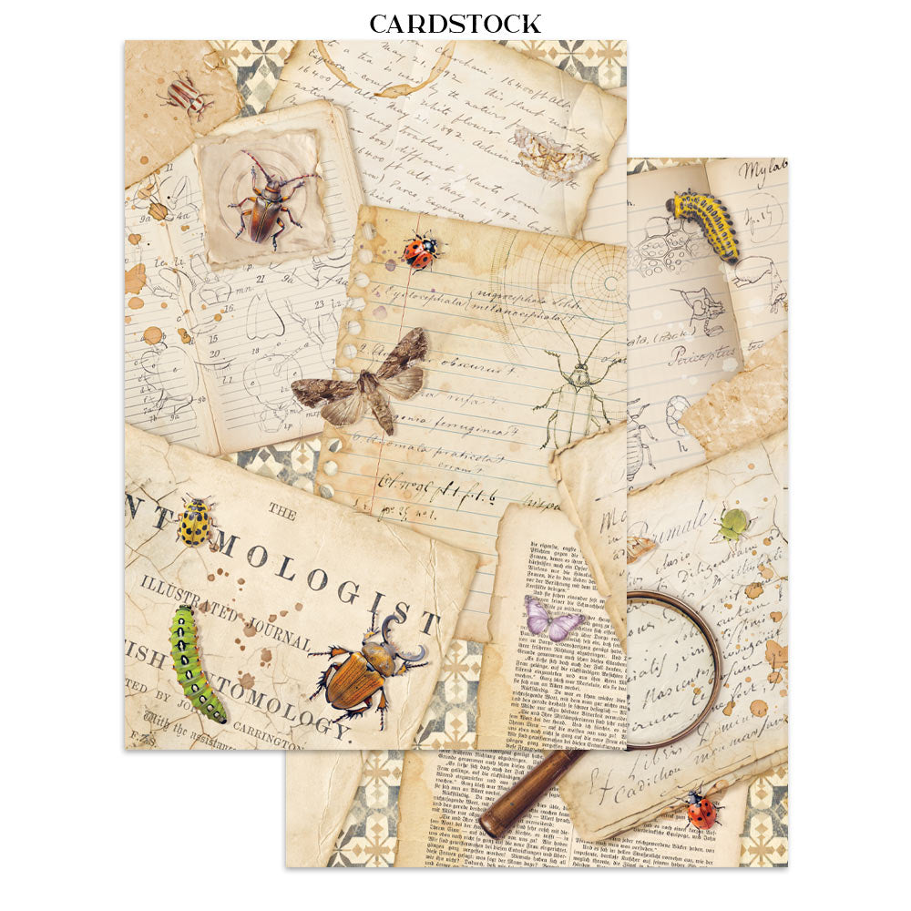 Printed Art Junk Journal: Stickers, Cut-Outs, Backgrounds For Art And Craft - All Around