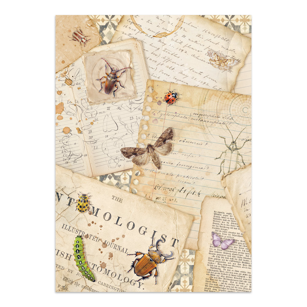 Printed Art Junk Journal: Stickers, Cut-Outs, Backgrounds For Art And Craft - All Around
