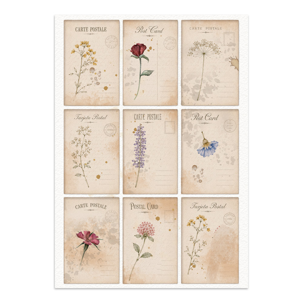 Printed Art Junk Journal: Stickers, Cut-Outs, Backgrounds For Art And Craft - Flowers And Poems