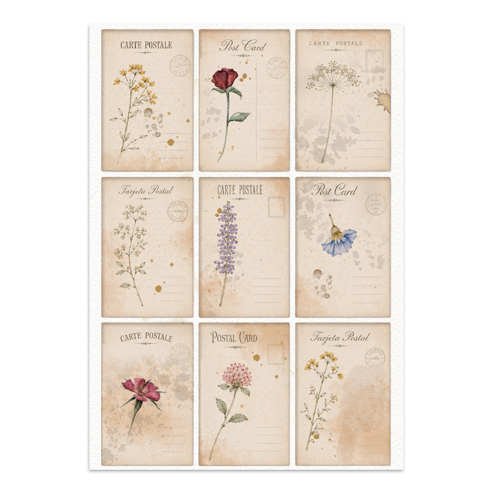 Printed Art Junk Journal Focus Points For Art And Craft A5 - Flowers And Poems