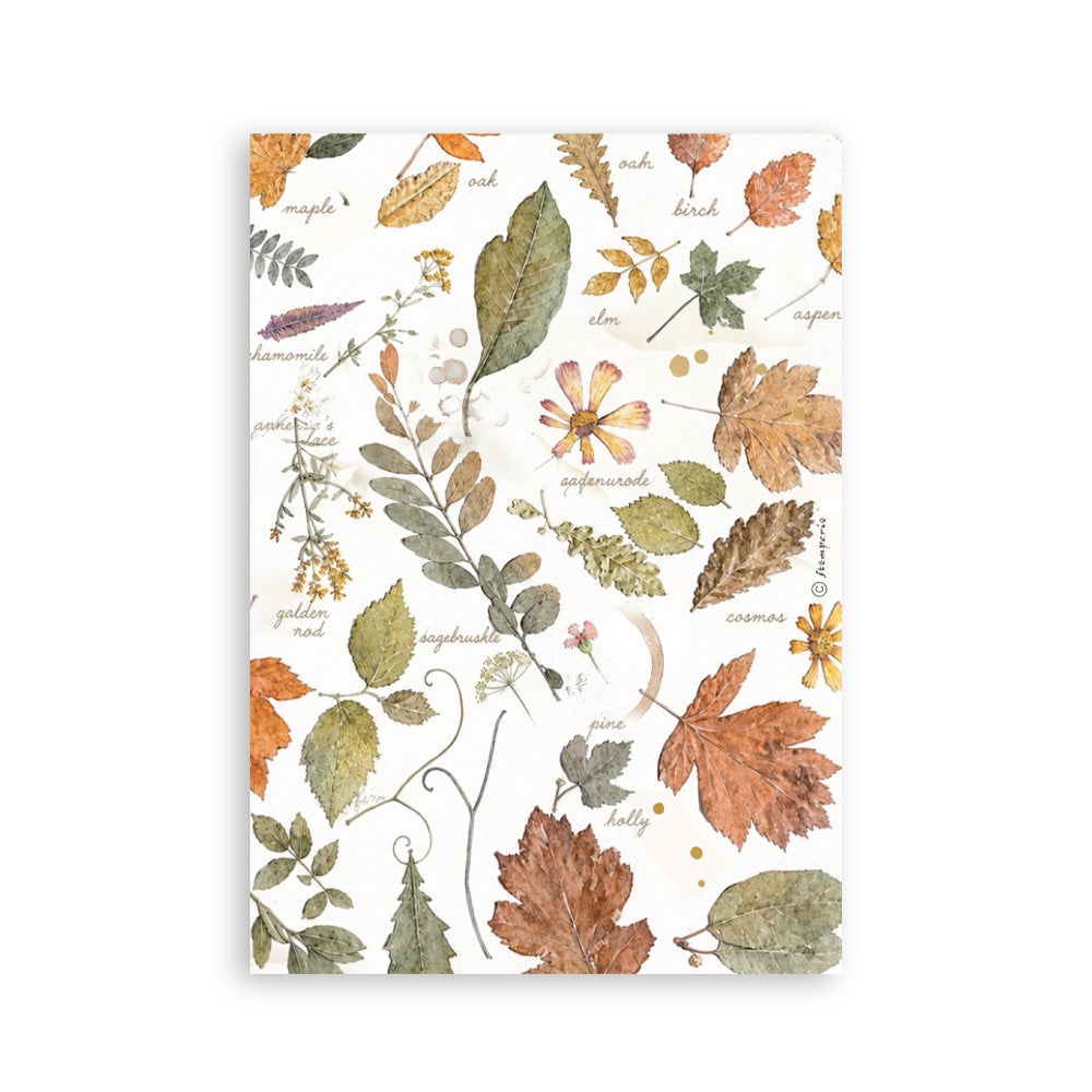 Printed Washi Pad For Art And Craft A5 8 Sheets - Flowers And Poems