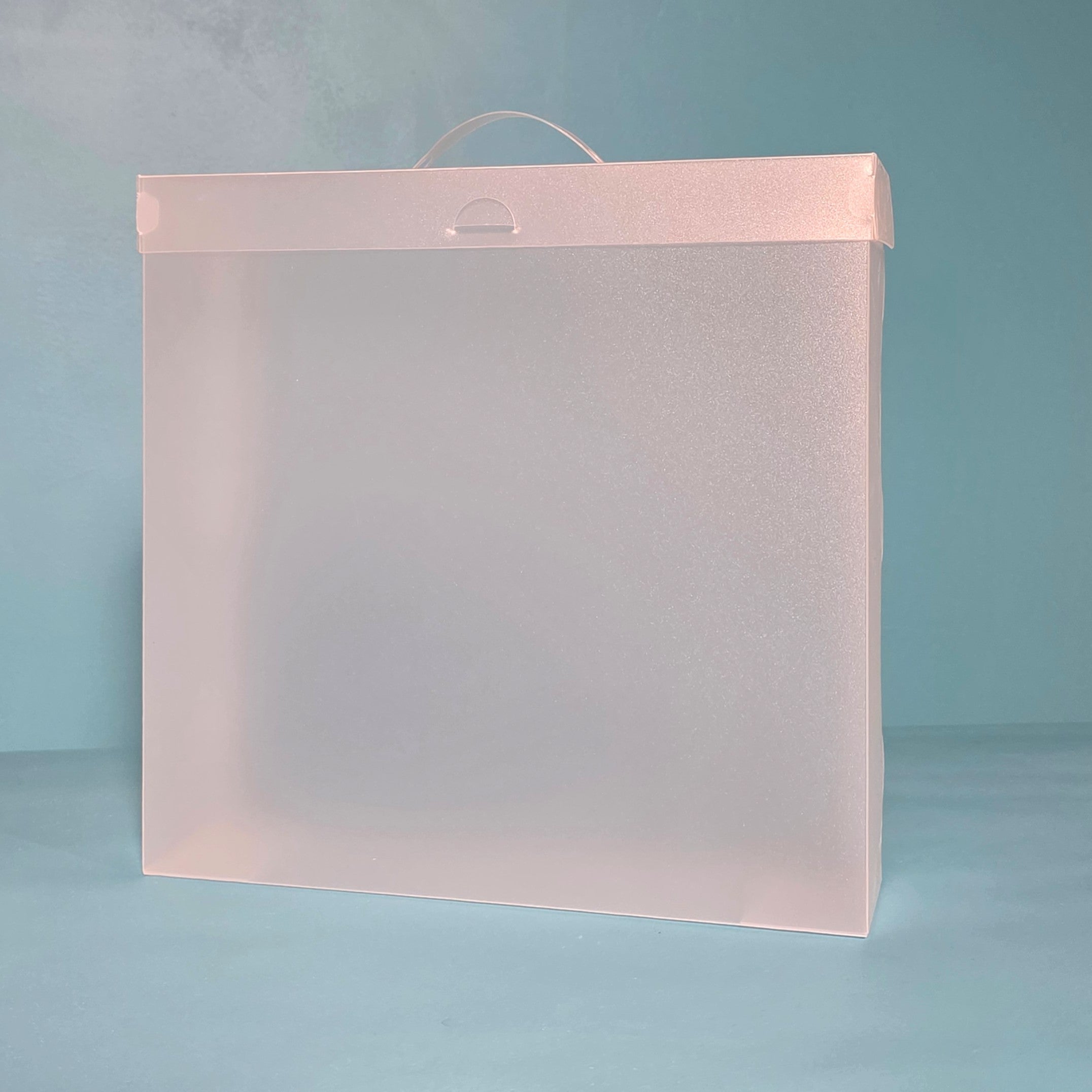 The Organized Option 12x12 File Master Storage Box with 5 Pockets