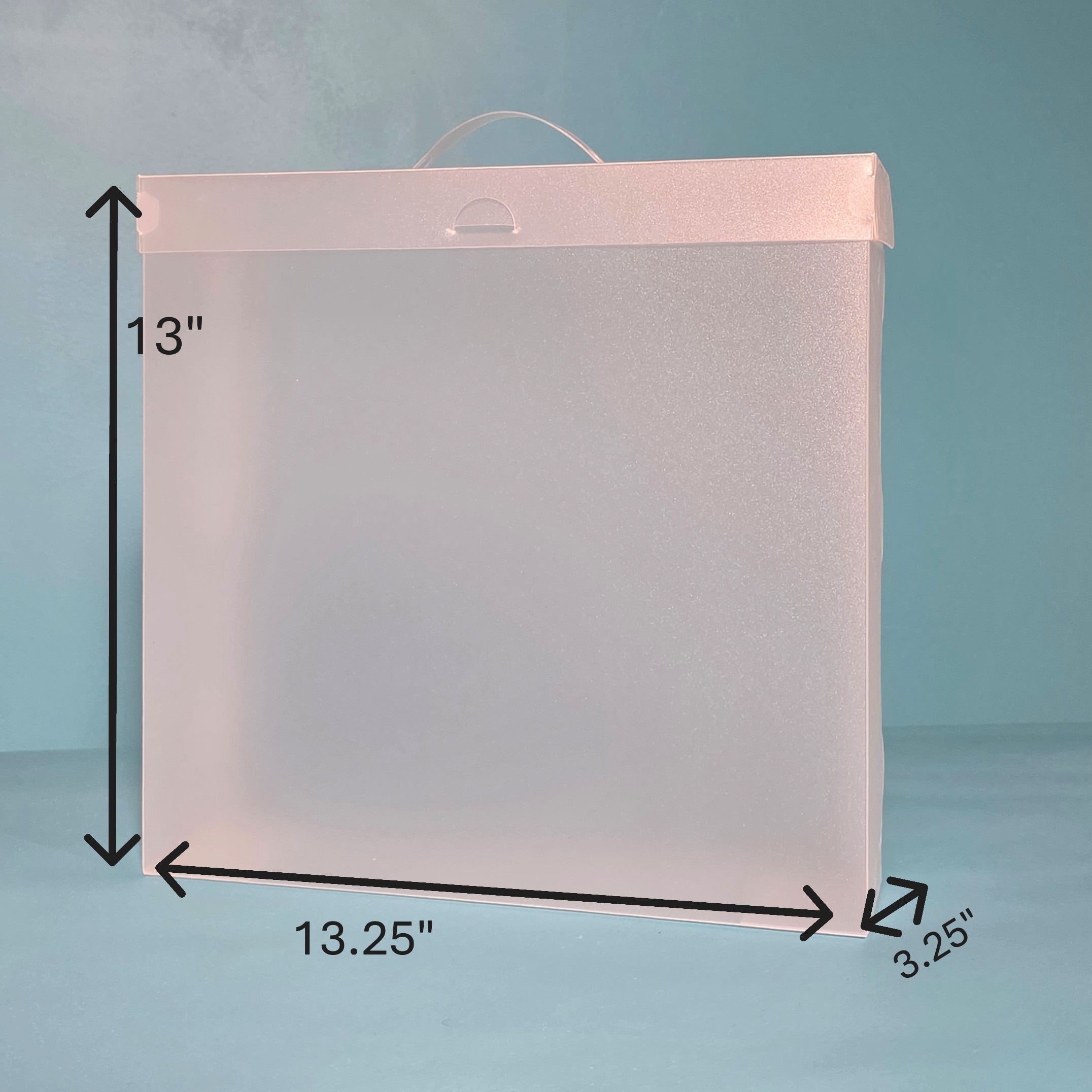 The Organized Option 12x12 File Master Storage Box with 5 Pockets