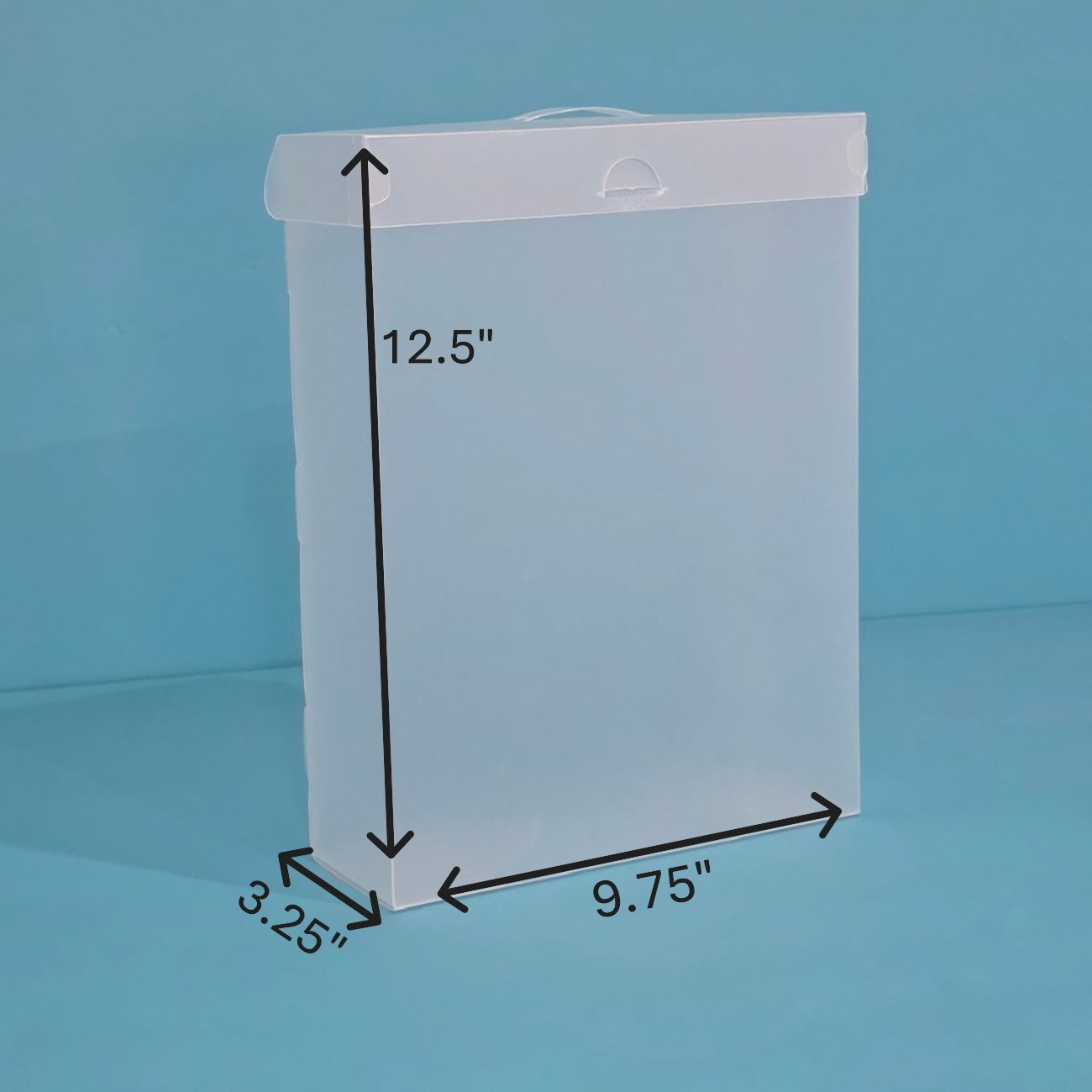 The Organized Option 8.5x11 File Master Storage Box with 5 Pockets