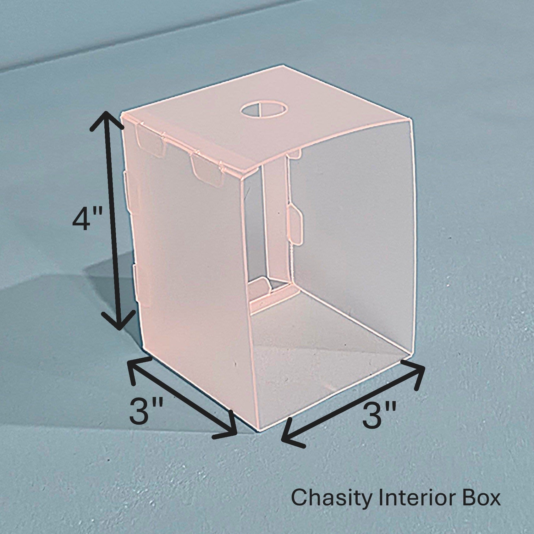 The Organized Option Chasity - Zip & Go Bag